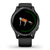 Garmin Smartwatch Venu